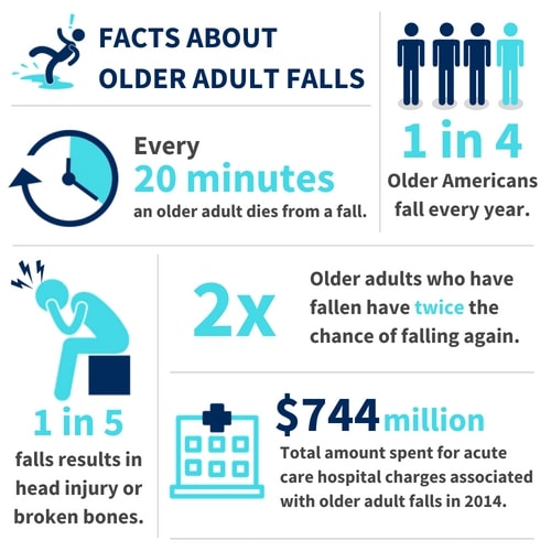 Older Adult Fall Prevention