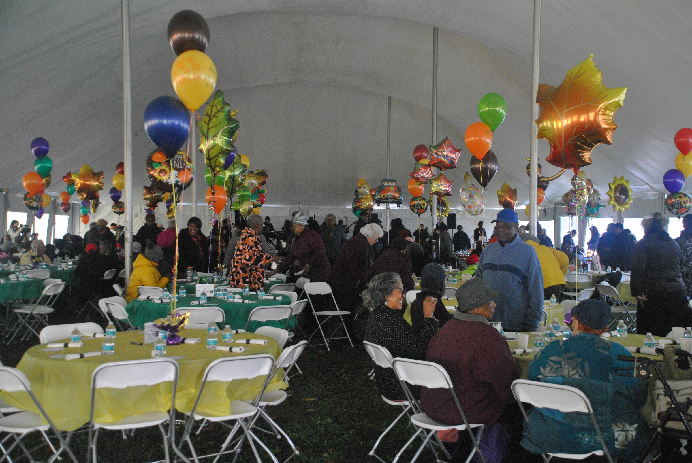 Attendees at Party in the Park.