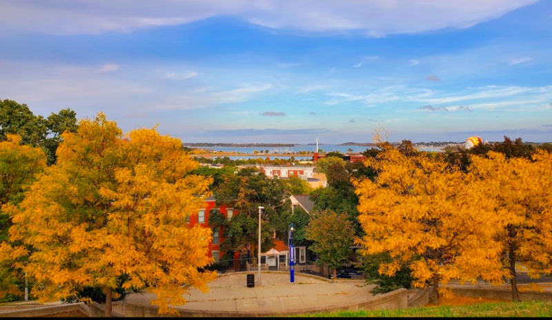 City views from Ronan Park in Dorchester