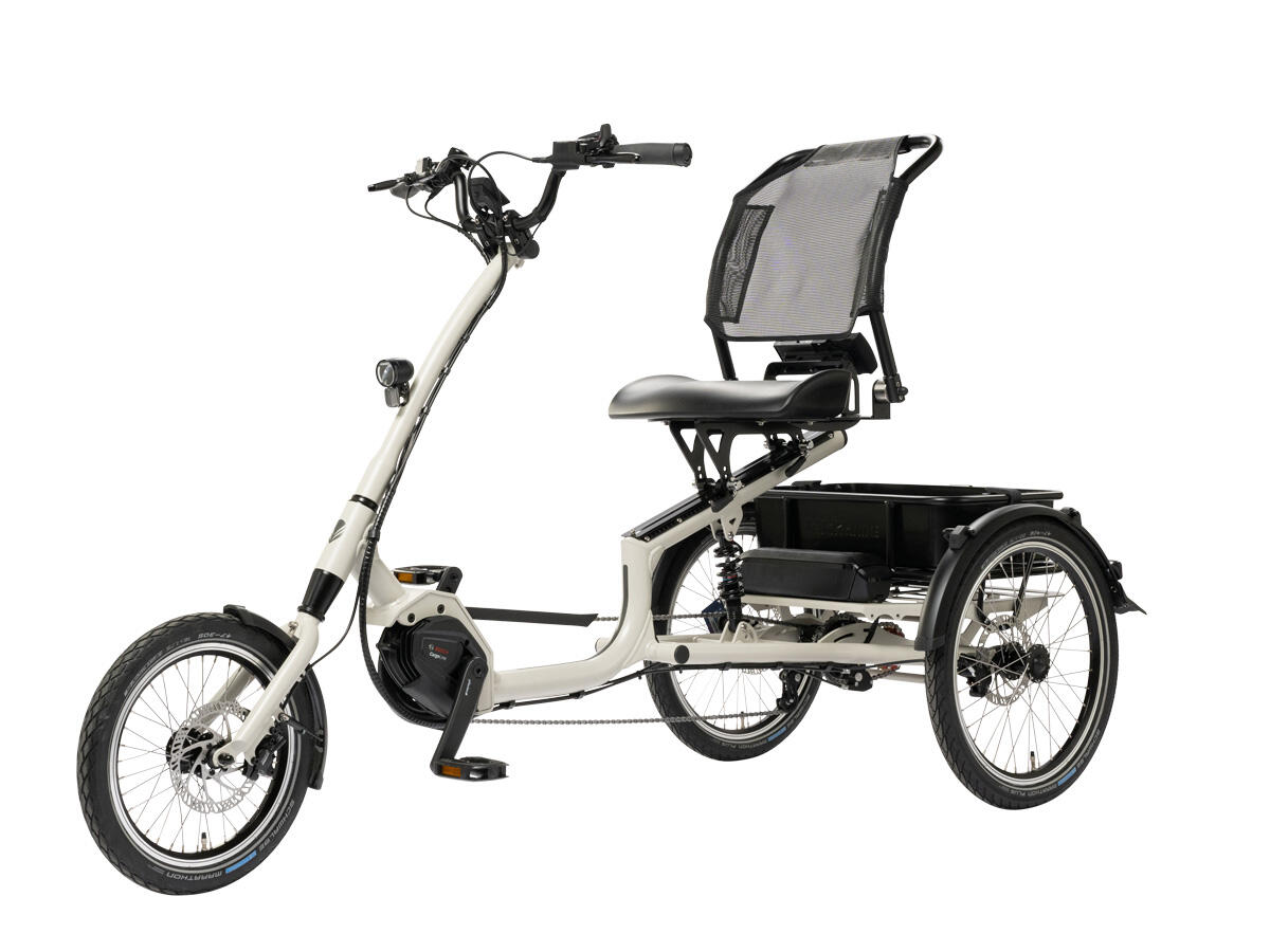 example of an adaptive e-bike