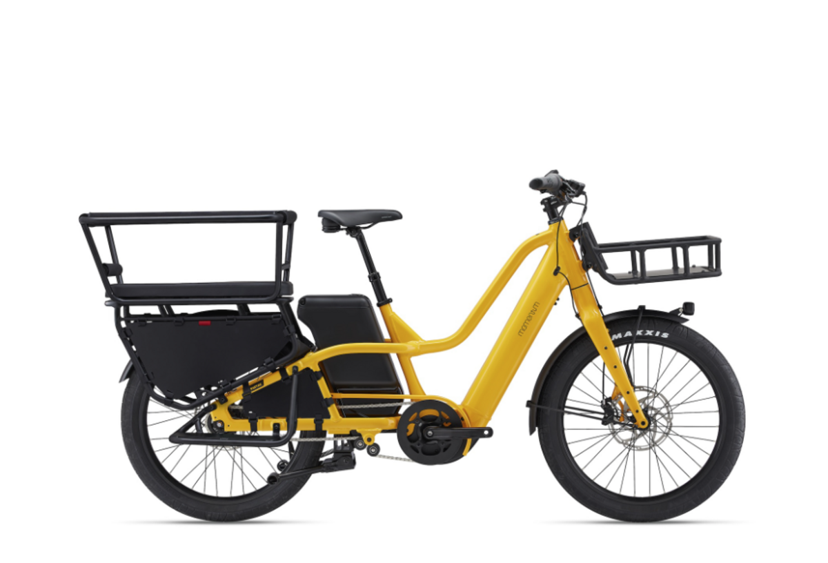 an example of a cargo e-bike