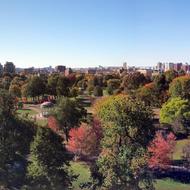 Image for boston common