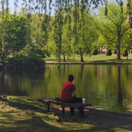 Image for public garden