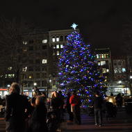 Image for copley tree lighting 15 jw 146