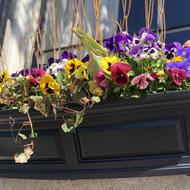 Flower Box 