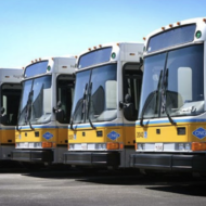 Buses