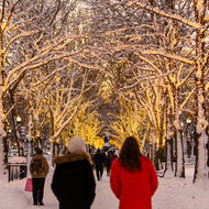 Commonwealth Avenue Mall Lights