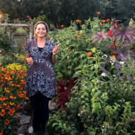 Marie Fukuda tends her plot in the Fenway Victory Gardens.