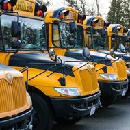 school buses