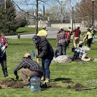 A square image with clusters of volunteers planting trees receding into the background.