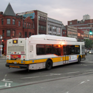 55 Bus