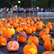 Image for p1 ocean of glowing pumpkins jpg