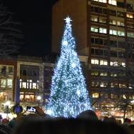 Image for copley sq tree lighting 2017